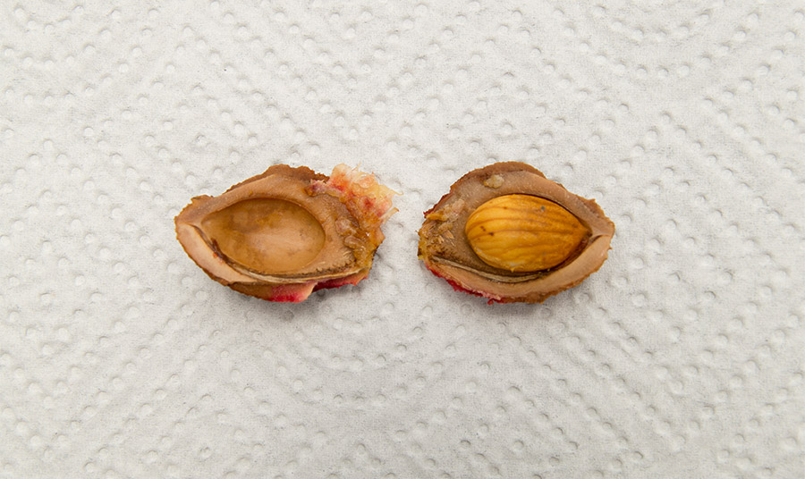 PHOTO WIKIPEDIA