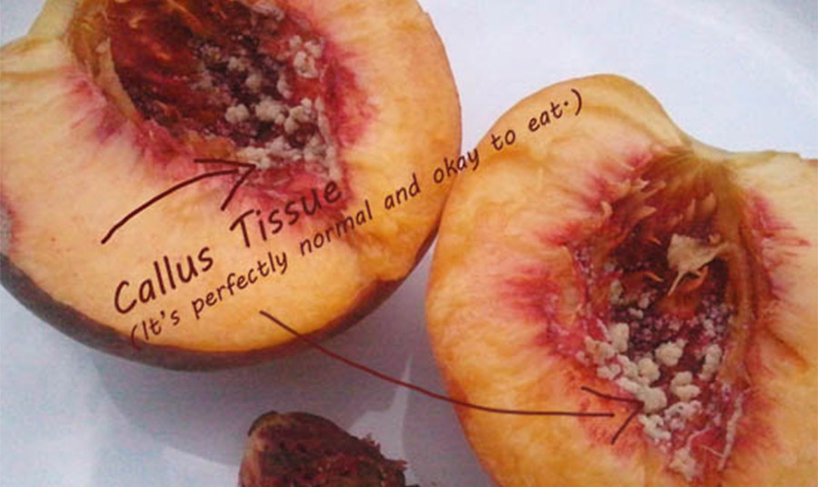 PHOTO BULK NATURAL FOOD