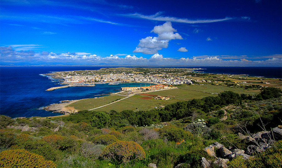 Φαβινιάνα PHOTO WIKIPEDIA