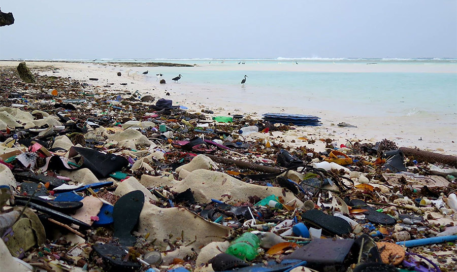 PHOTO SEYCHELLES ISLANDS FOUNDATION