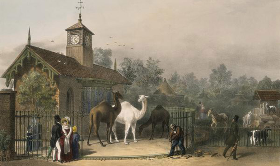 Πίνακας του 1835 με το καμηλόσπιτο PHOTO WIKIPEDIA