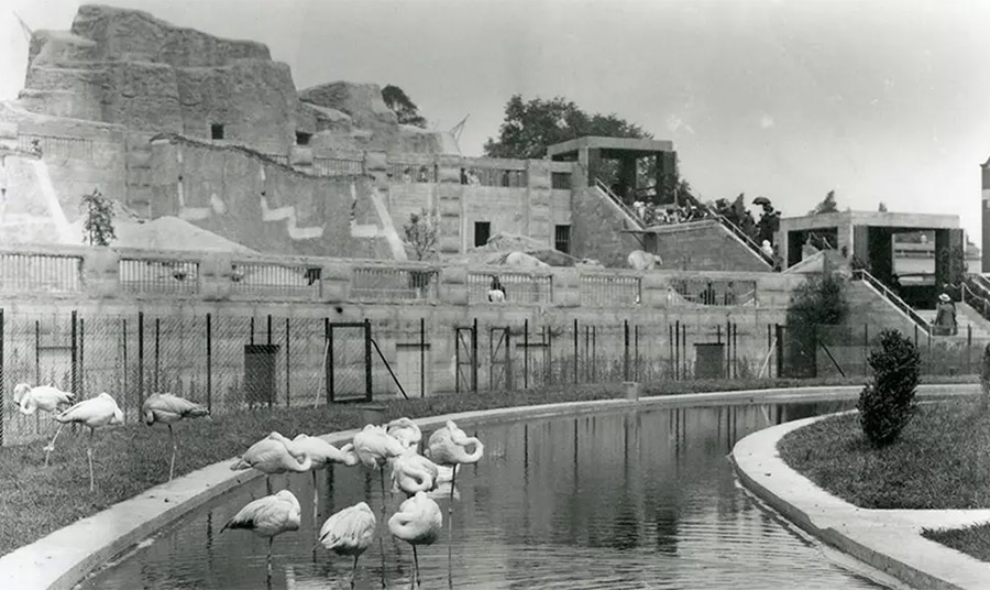 Mappin Terraces © ZSL London Zoo
