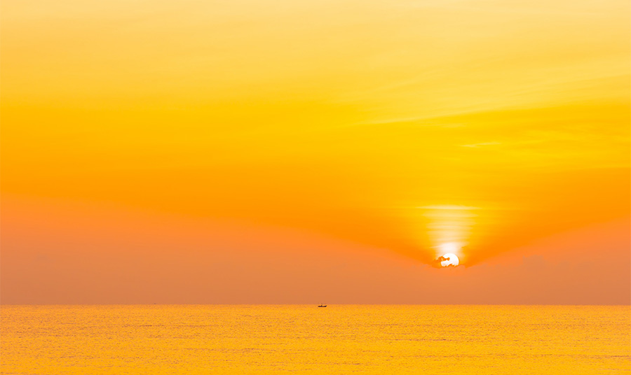 ©FREEPIK