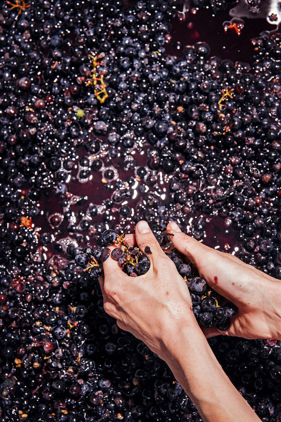 PHOTO BEHANCE