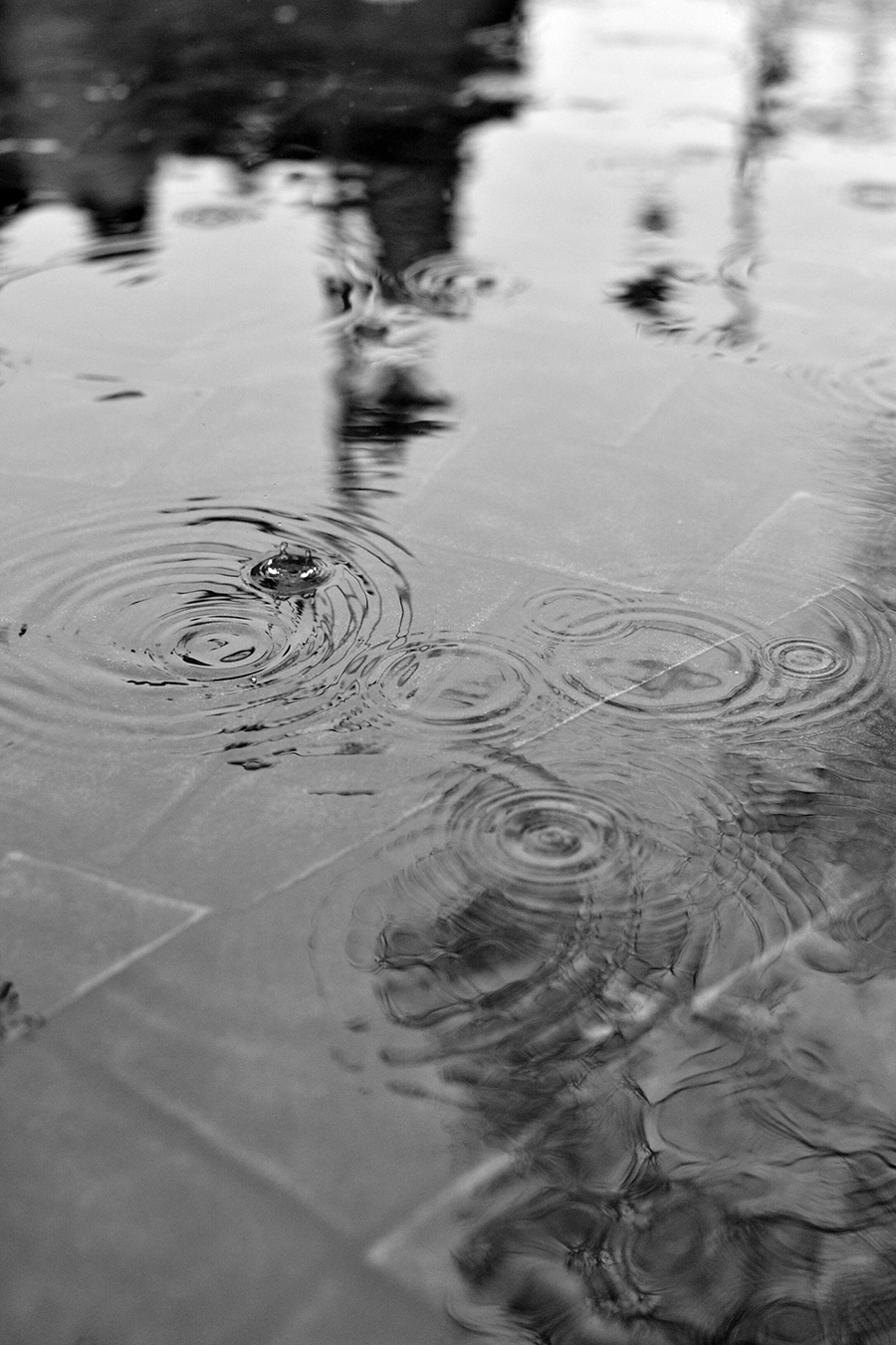 PHOTO NAZIM QIZI / PEXELS