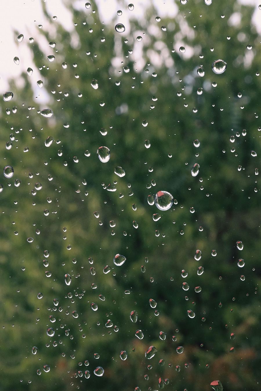 PHOTO BETULBATMAZ / PEXELS