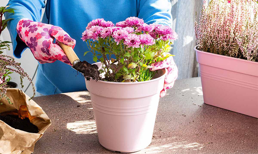 PHOTO gardenerspath.com