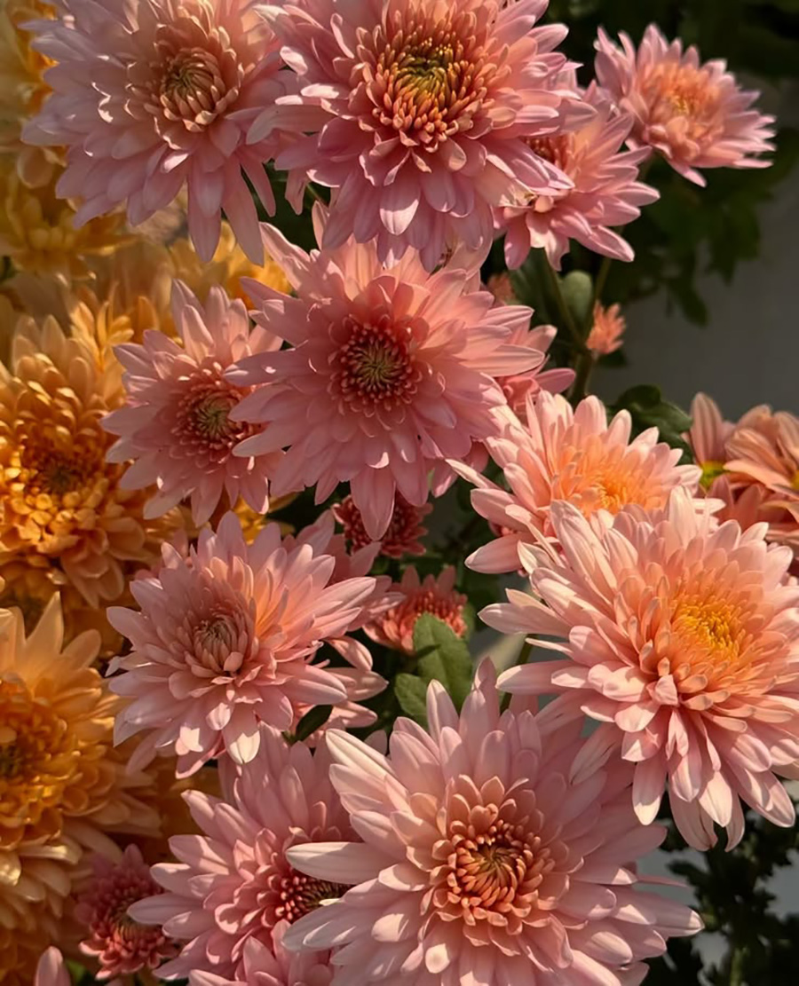 PHOTO VIA PINTEREST