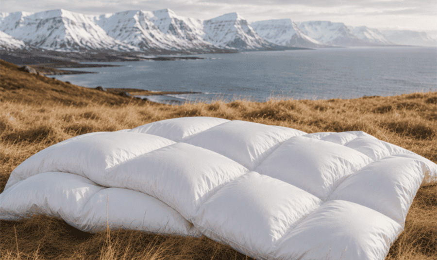PHOTO icelandicdown.com