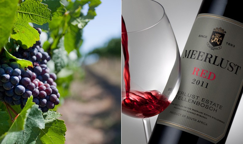 Κόκκινο κρασί από παραδοσιακές ποικιλίες της Βουργουνδίας και του Μπορντό του οινοποιείου Meerlust