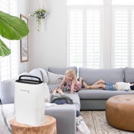 Οι αφυγραντήρες Intense Dry Compact της Rowenta έχουν αθόρυβη λειτουργία και αφαιρούν την υγρασία από τον χώρο αυξάνοντας τη θερμοκρασία του κατά τουλάχιστον 2°C, δημιουργώντας ένα ιδανικό περιβάλλον!