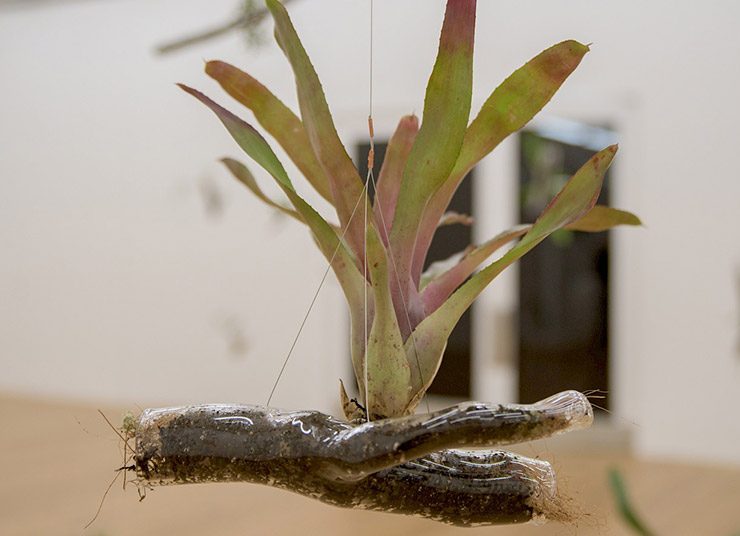 Αγάπη, φόβος, θυμός και ελπίδα: Πώς τα συναισθήματα επηρεάζουν τη δράση για το κλίμα