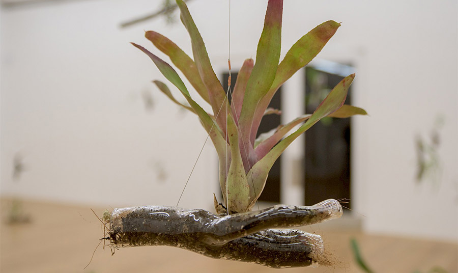 Αγάπη, φόβος, θυμός και ελπίδα: Πώς τα συναισθήματα επηρεάζουν τη δράση για το κλίμα