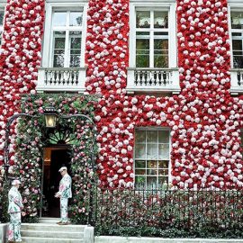 Η πρόσοψη της έπαυλης του ανανεωμένου Annabel?s, στολισμένη με χιλιάδες ροζ και κόκκινα λουλούδια