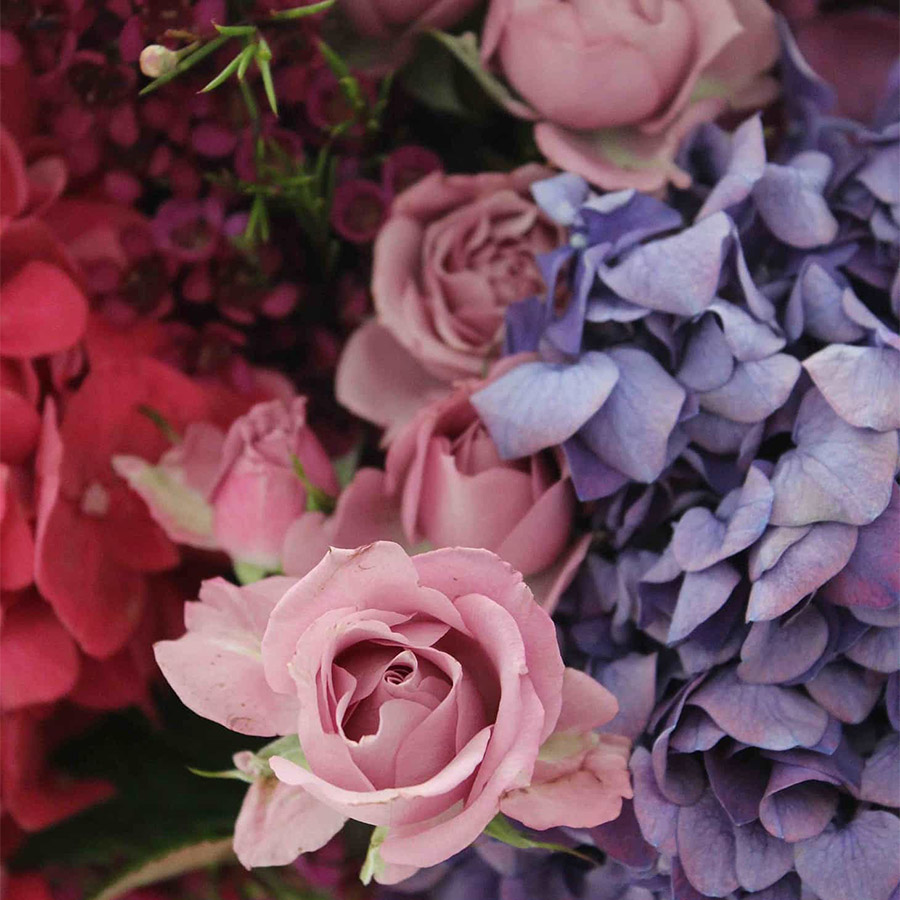 PHOTO THE SMELL OF ROSES