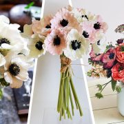 Φροντίδα για τις ανεμώνες σας! Πώς θα διατηρηθούν περισσότερο στο βάζο