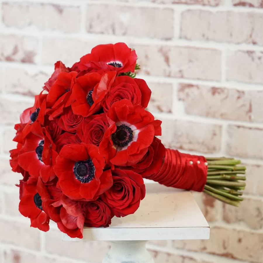 PHOTO ANABELLA FLORES MIAMI 