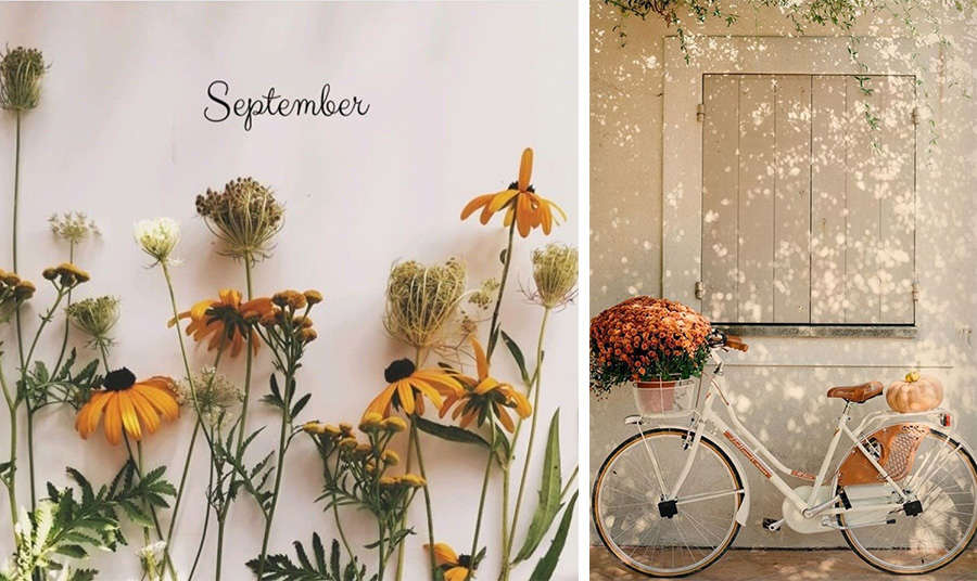 PHOTOS VIA PINTEREST