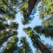 Aποψίλωση των δασών: Οι 6 σοβαρές αρνητικές επιπτώσεις και τι μπορούμε να κάνουμε