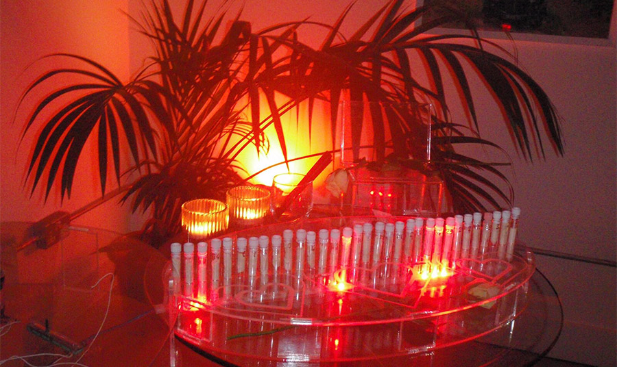 PHOTO SCENT OF CONNECTION