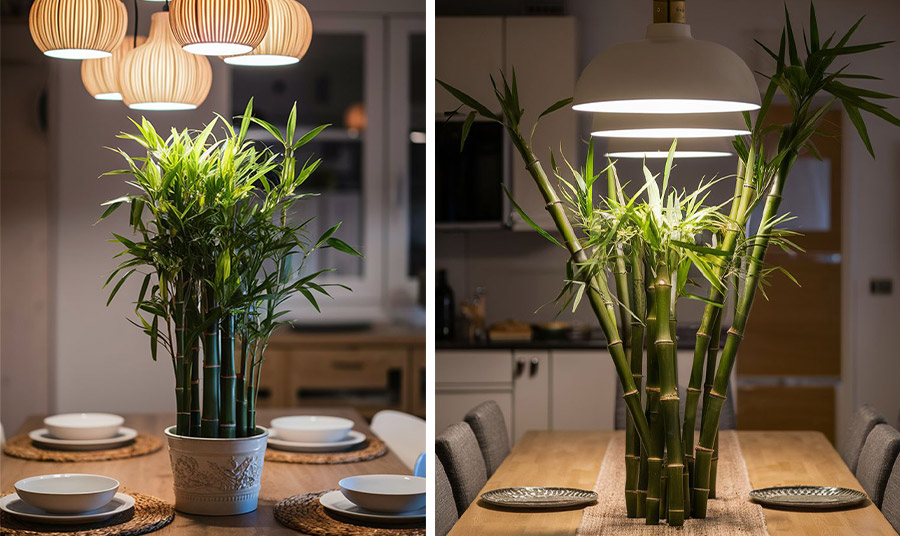 PHOTOS VIA PINTEREST