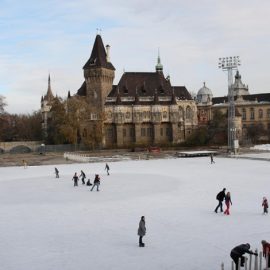 Οι παγοδρομίες είναι μία ακόμη όμορφη εικόνα στην καθημερινότητα της χειμωνιάτικης Βουδαπέστης