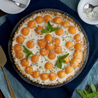 cantaloupe Cantaloupe