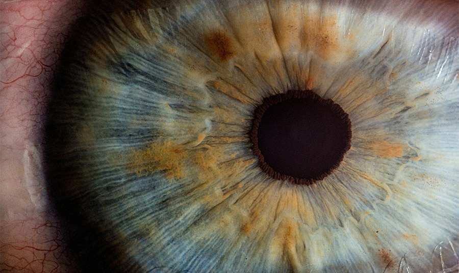 PHOTO UNSPLASH 