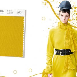 Το antique moss είναι λαμπερό, μία απόχρωση που δεν είναι ακριβώς κίτρινο, ούτε όμως και πράσινο. Έχει έντονο τόνο και μπορεί να δημιουργήσει εντυπωσιακές αντιθέσεις με τα υπόλοιπα χρώματα της σεζόν