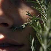 Δεντρολίβανο για καλύτερη μνήμη, λιγότερο άγχος, ακόμη και προστασία από Αλτσχάιμερ