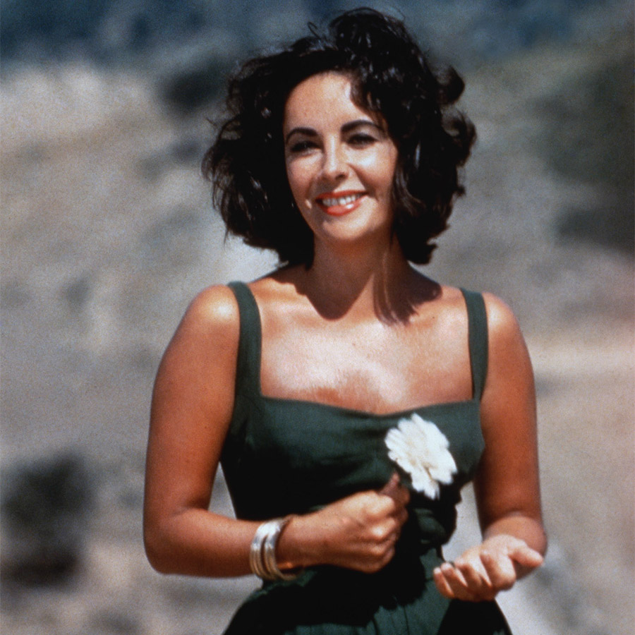 Σε όλη της τη ζωή, η Τέιλορ διέθετε μια ακλόνητη θέληση να επιβιώνει απέναντι σε προσωπικές τραγωδίες και μια εξαιρετική ικανότητα για αγάπη