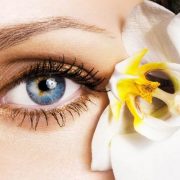 Eyefull...