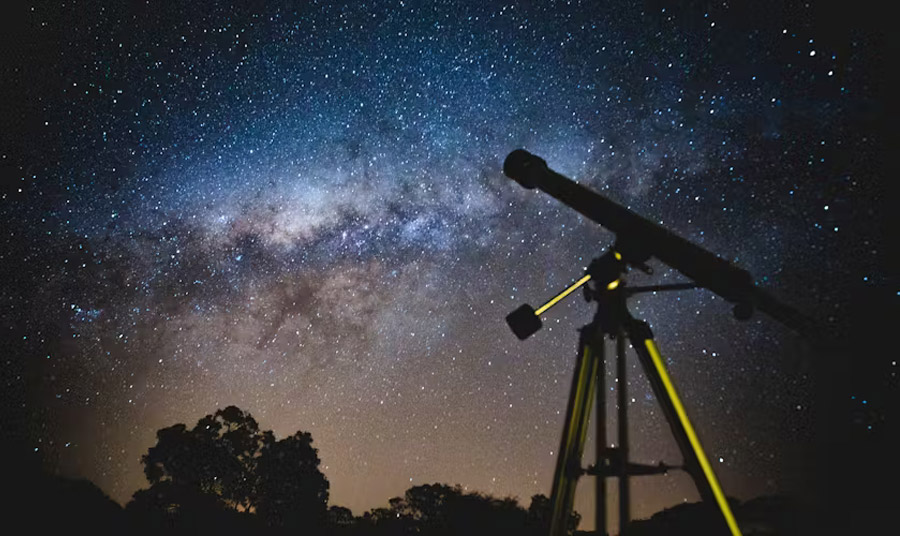 © LUCAS PAZETA / PEXELS