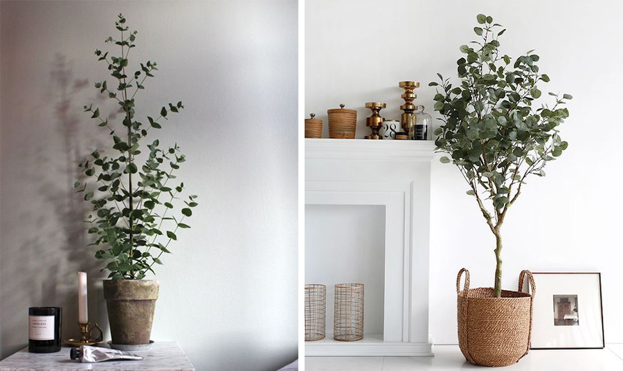 PHOTOS VIA PINTEREST