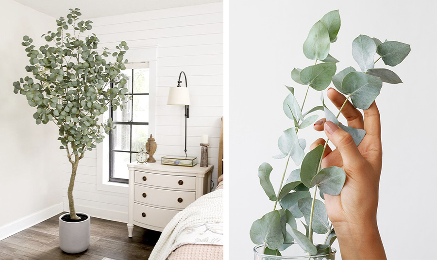 PHOTO VIA PINTEREST // PHOTO FREEPIK