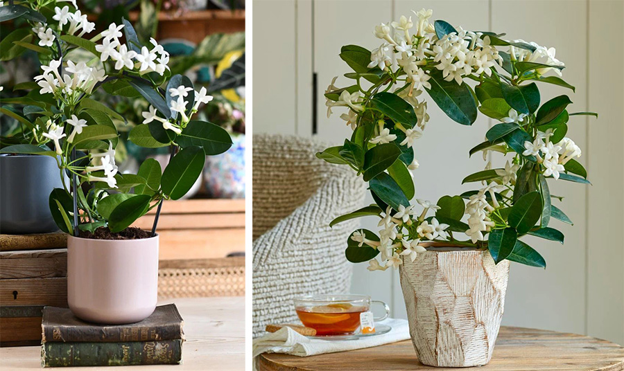 PHOTOS VIA PINTEREST