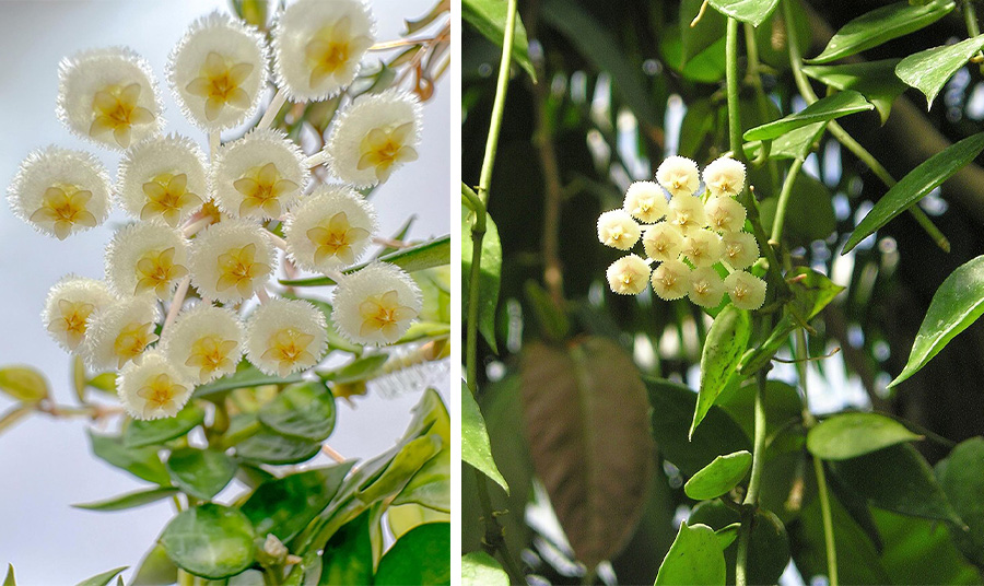 PHOTOS VIA PINTEREST