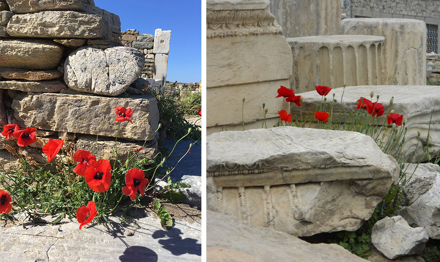 PHOTOS VIA PINTEREST