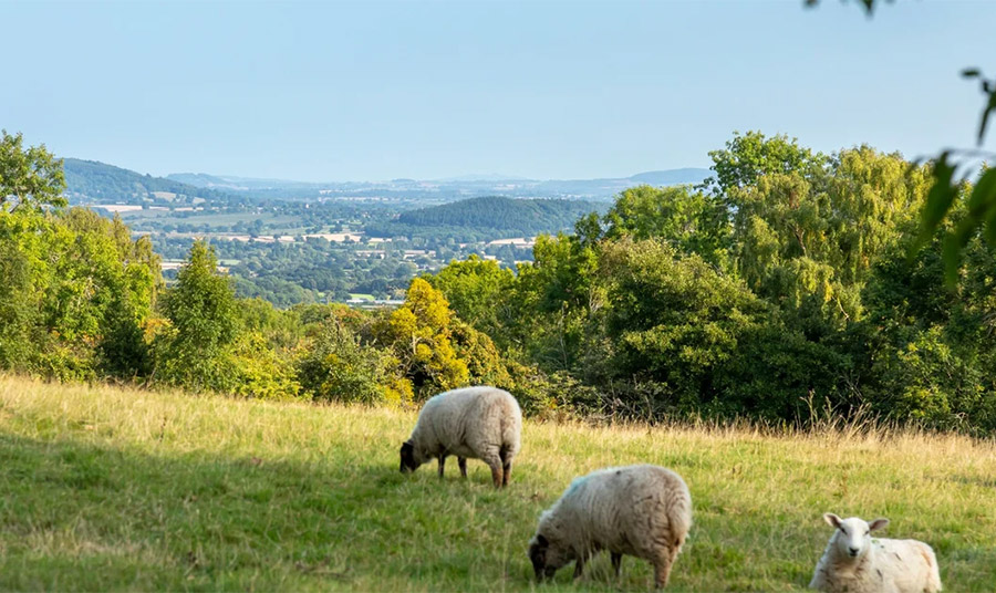 Brilley PHOTO  JOHN MILLER / NATIONAL TRUST 