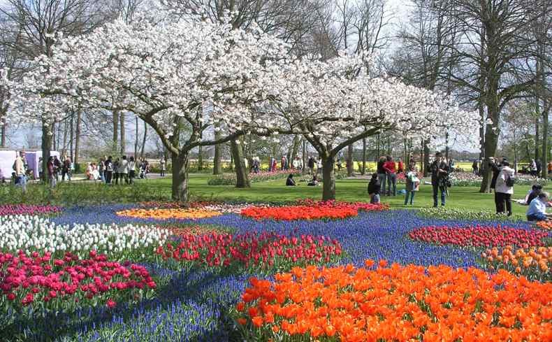 Keukenhof: Ο πιο λουλουδένιος κήπος στον κόσμο
