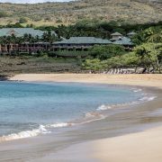 Το νησί Lanai της Χαβάης ανήκει στον πλουσιότερο άνθρωπο στον κόσμο!