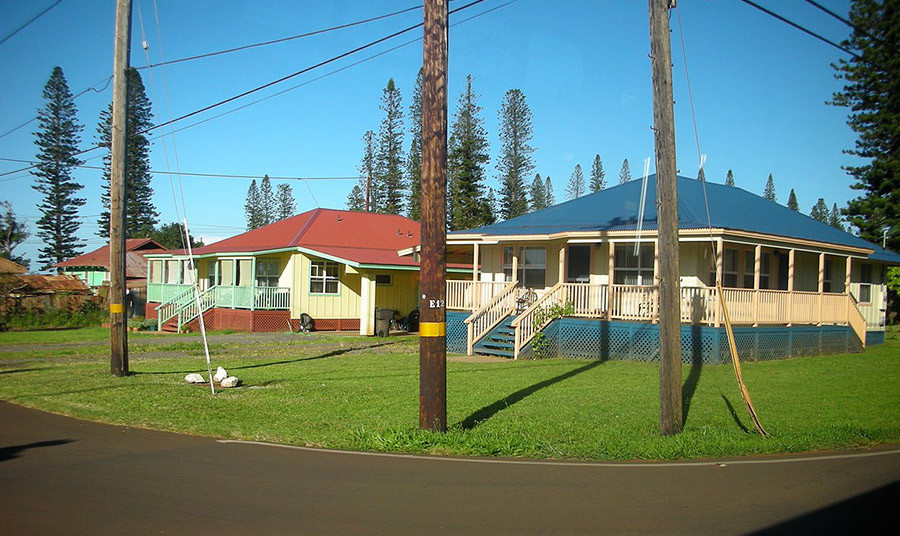 PHOTO WIKIPEDIA