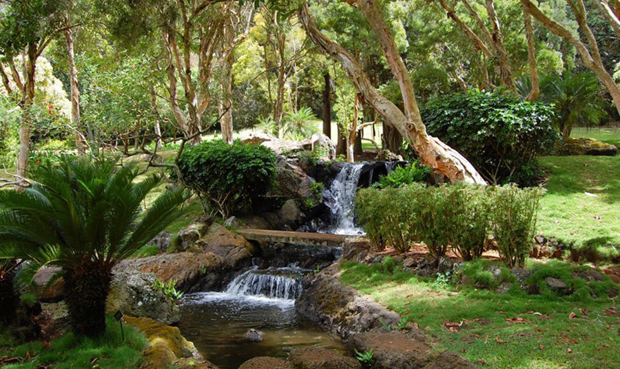 Waterfall garden PHOTO www.to-hawaii.com