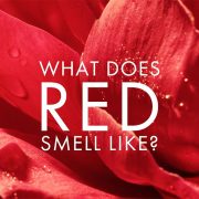 Eau de Parfum Le Rouge Flower: Ο καθηλωτικός κόσμος του κόκκινου!