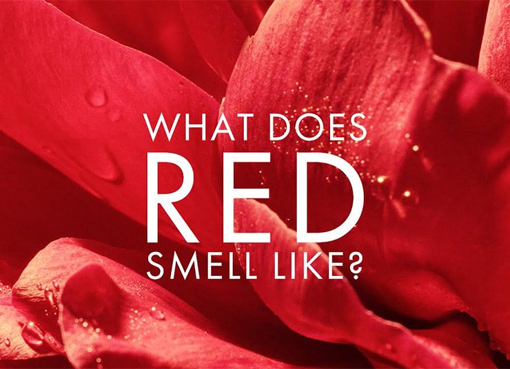 Eau de Parfum Le Rouge Flower: Ο καθηλωτικός κόσμος του κόκκινου!