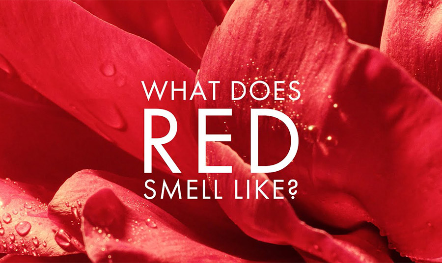 Eau de Parfum Le Rouge Flower: Ο καθηλωτικός κόσμος του κόκκινου!