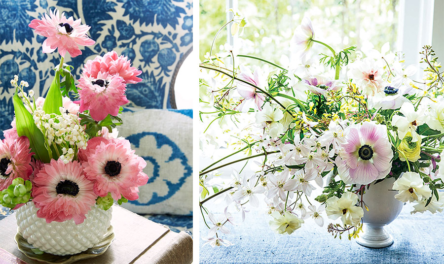 Photo by David Hillegas // Photo by Erin Kunkel (Flower-Magazine)