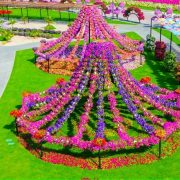Dubai Miracle Garden: Ο κήπος των θαυμάτων!
