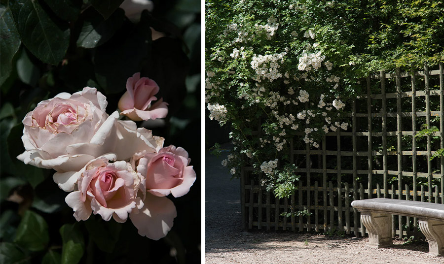 Οι ευωδιαστοί κήποι στο καταφύγιό της στο Petit Trianon ήταν μία αισθητηριακή περιήγηση PHOTOS  www.roseandivyjournal.com