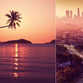 Ο φωτογραφικός φακός εμπνέεται από το χρώμα της χρονιάς για μία τροπική παραλία ή για τους ουρανοξύστες του Λος Άντζελες